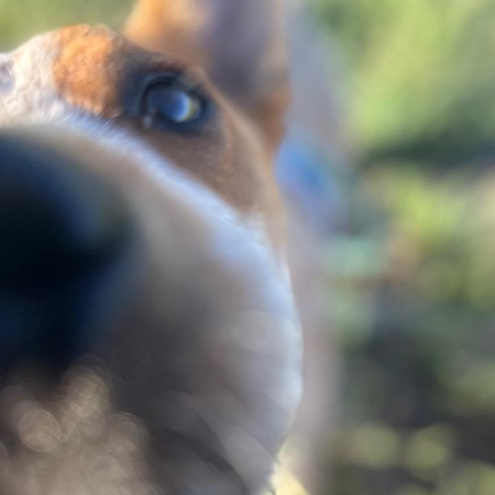 Profile Picture of Hannah Archiquette (@hannahrosearch) on Tiktok