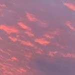 Profile Picture of Marilyn Ferguson (@marilyn_ferguson_) on Instagram