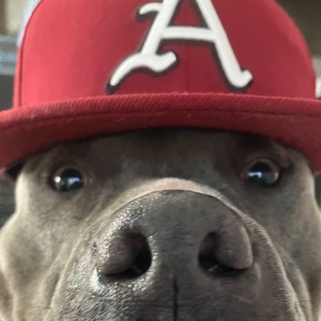 Profile Picture of Adam /carlos/ramirez/bean (@adamramirez82) on Tiktok