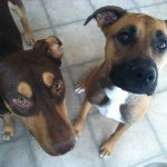 Profile Picture of Melodee (@melodeearmfieldcreech) on Instagram