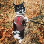 Profile Picture of Jimmy Sun (@cat.with.a.mole) on Instagram