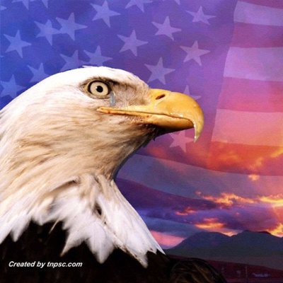 Profile Picture of Frank Holmes (@TheFrankHolmes) on Twitter