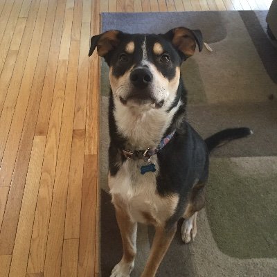 Profile Picture of Chief125 (@EricFrischkorn) on Twitter