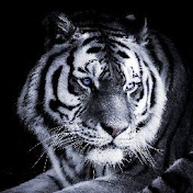 Profile Picture of Konstantin Fedorov (@konstantinfedorov736) on Youtube