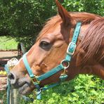 Profile Picture of Janet Stillman (@janet.stillman.75) on Facebook