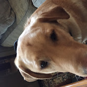 Profile Picture of Steven Rouse (@SomeOne-vv7sf) on Youtube