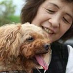 Profile Picture of 大海　溶子 (@yokodaikai) on Instagram
