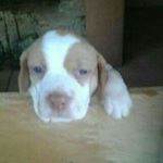 Profile Picture of Mario navarro plasencia (@navarro_3000) on Instagram