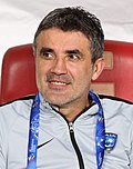 Profile Picture of Zoran Mamićon Wikipedia