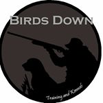 Profile Picture of Jace Woodrow (@birdsdowntrainingandkennels) on Instagram