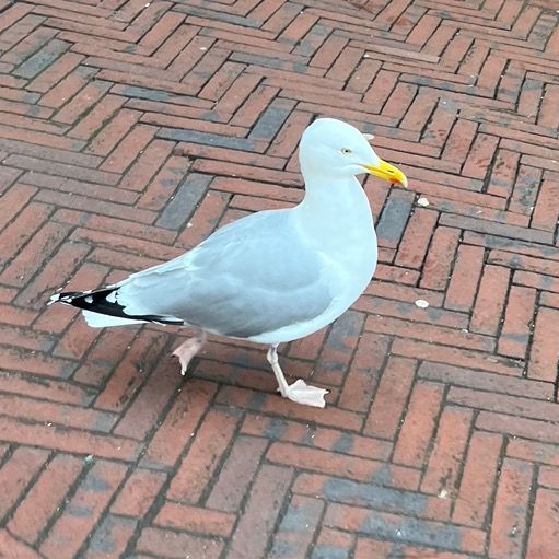 Profile Picture of Ruth 🇦🇹 (@ruthpolans) on Tiktok