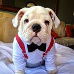 Profile Picture of D Gooding (@gooding1218) on Instagram