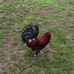 Profile Picture of Harold Pollock (@harold.pollock.39) on Facebook