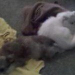 Profile Picture of Dana Phillips (@dmphillips96yahoo) on Instagram