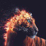 Profile Picture of John (@shawn_fonteno) on Instagram