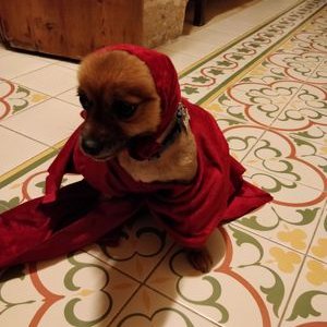 Matthew Bonanno - Twitter Profile Picture of Matthew Bonanno (@Matt5645) on Twitter