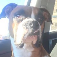 Profile Picture of Jeff Barnett (@jeff-barnett-32) on Quora