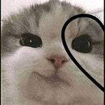 crisel ann arellano purisima - Instagram Profile Picture of crisel ann arellano purisima (@criselannarellano) on Instagram