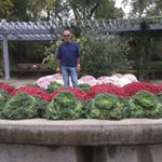 Profile Picture of Paul Iordanidis (@pauliordanidis6506) on Instagram