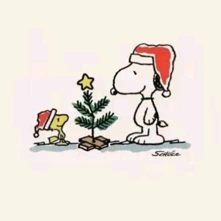 Profile Picture of allison (@allisonlili) on Tiktok