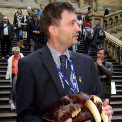 Profile Picture of Stuart Gibson (@GibStuart) on Twitter