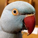 Profile Picture of Mark Moore (@mark.moore.6t4van) on Instagram