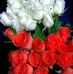 Profile Picture of Jalal Uddin (@jaial.uddin.902) on Facebook