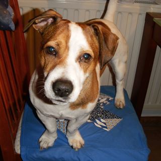 Profile Picture of Jack Hošek (@jack.hosek.35) on Facebook