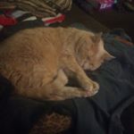 Profile Picture of Marc Lachance (@marc.lachance.921) on Instagram