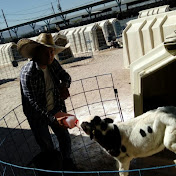 Raul Baylon Vazquez - Youtube Profile Picture of Raul Baylon Vazquez (@raulbaylonvazquez6956) on Youtube