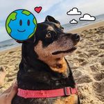 Profile Picture of Janet Ceballos Sedas (@ya.net1948) on Instagram