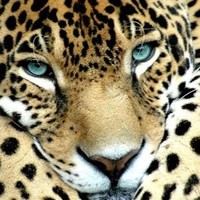 Profile Picture of Loren Harmon (@loren-harmon-5) on Quora