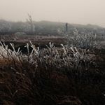 Profile Picture of Jérome Turcotte (@jerometurc) on Instagram