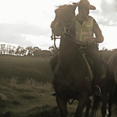 Profile Picture of David A. Mazo (@davidmazo369) on Twitter