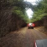 Profile Picture of Andy Deker (@andydeker) on Instagram