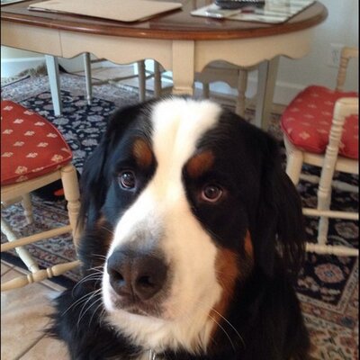 Profile Picture of Jeff Nevin (@Wuz_updoc) on Twitter