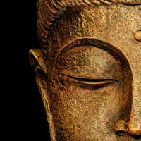 Profile Picture of Paul Rabbitte (@paul-rabbitte) on Quora