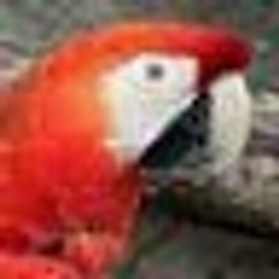 Profile Picture of Scott Walpole (@ScottWalpole1) on Twitter