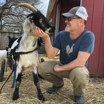 John Bartlett - Instagram Profile Picture of John Bartlett (@johnbartlett_vegan) on Instagram