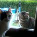 Profile Picture of Sylvia Deutsch (@Sylvia-Deutsch) on Facebook