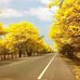 Profile Picture of Fernando Zambrano (@fernando.zambrano.313371) on Facebook