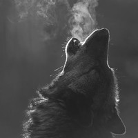 Profile Picture of Adolfo Zubiate Silva (@adolfo-zubiate-silva) on Quora