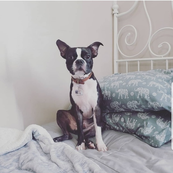 Profile Picture of Yesi Sotelo (@soteloyesi) on Poshmark