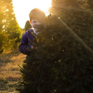 Profile Picture of Megan Nicole Omer (@megan.n.parks.5) on Facebook