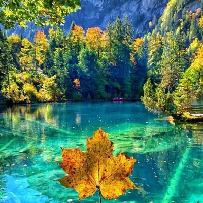 Profile Picture of Jagruti Upadhyay (@JagrutiUpadhya8) on Twitter