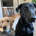 Aspen & Brooks - Instagram Profile Picture of Aspen & Brooks (@brooksandaspen) on Instagram