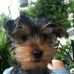 Profile Picture of Edward Dexter (@edward.dexter.148) on Facebook