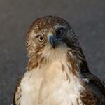 Profile Picture of Erik A. Flickinger (@flickwet) on Instagram