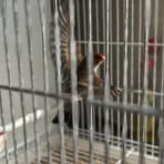 Shaun Atherton - Facebook Profile Picture of Shaun Atherton (@Shaun-Atherton) on Facebook