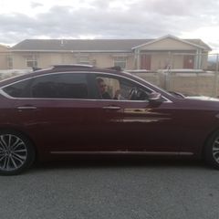 Profile Picture of michaelmiccio4 (@michaelmiccio4) on Tiktok